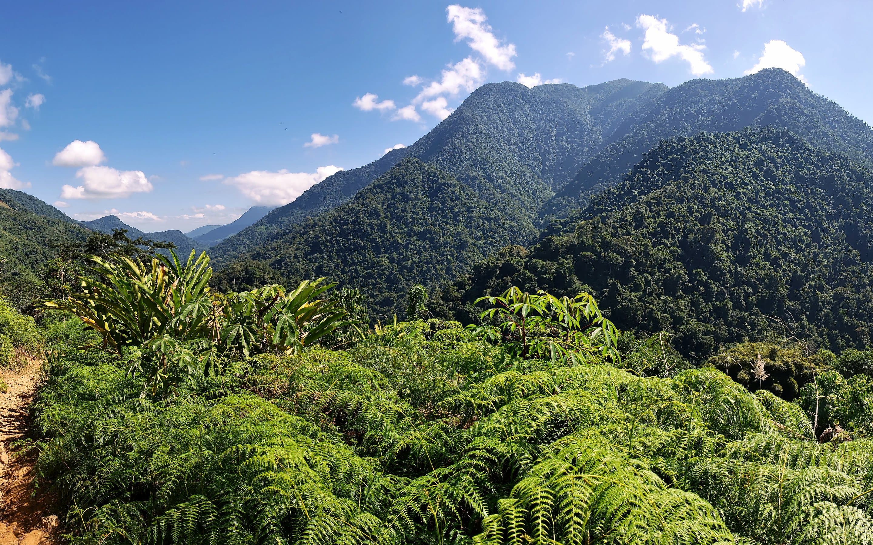 From the trip: Sierra Nevada, Colombia