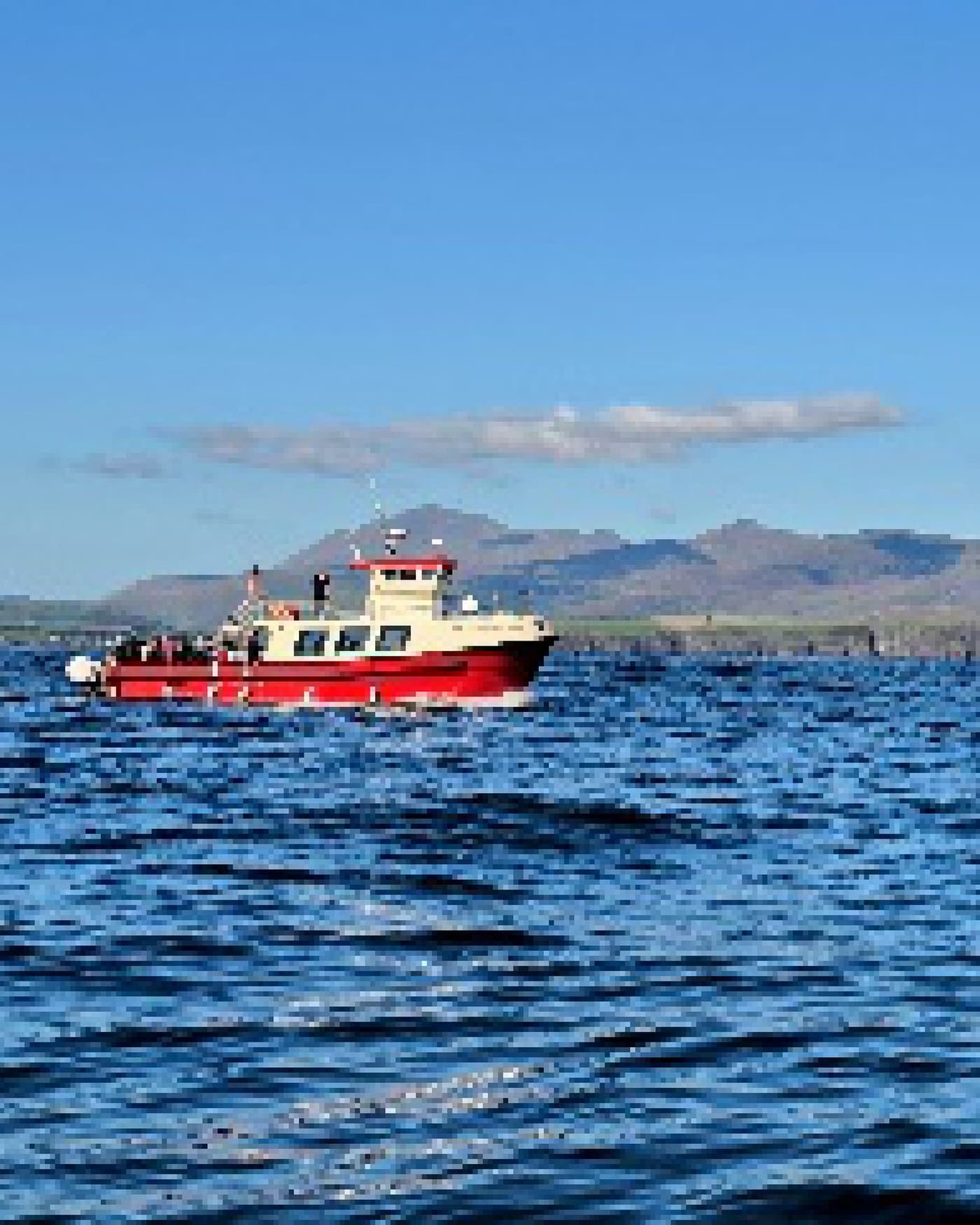 From the trip: Ireland