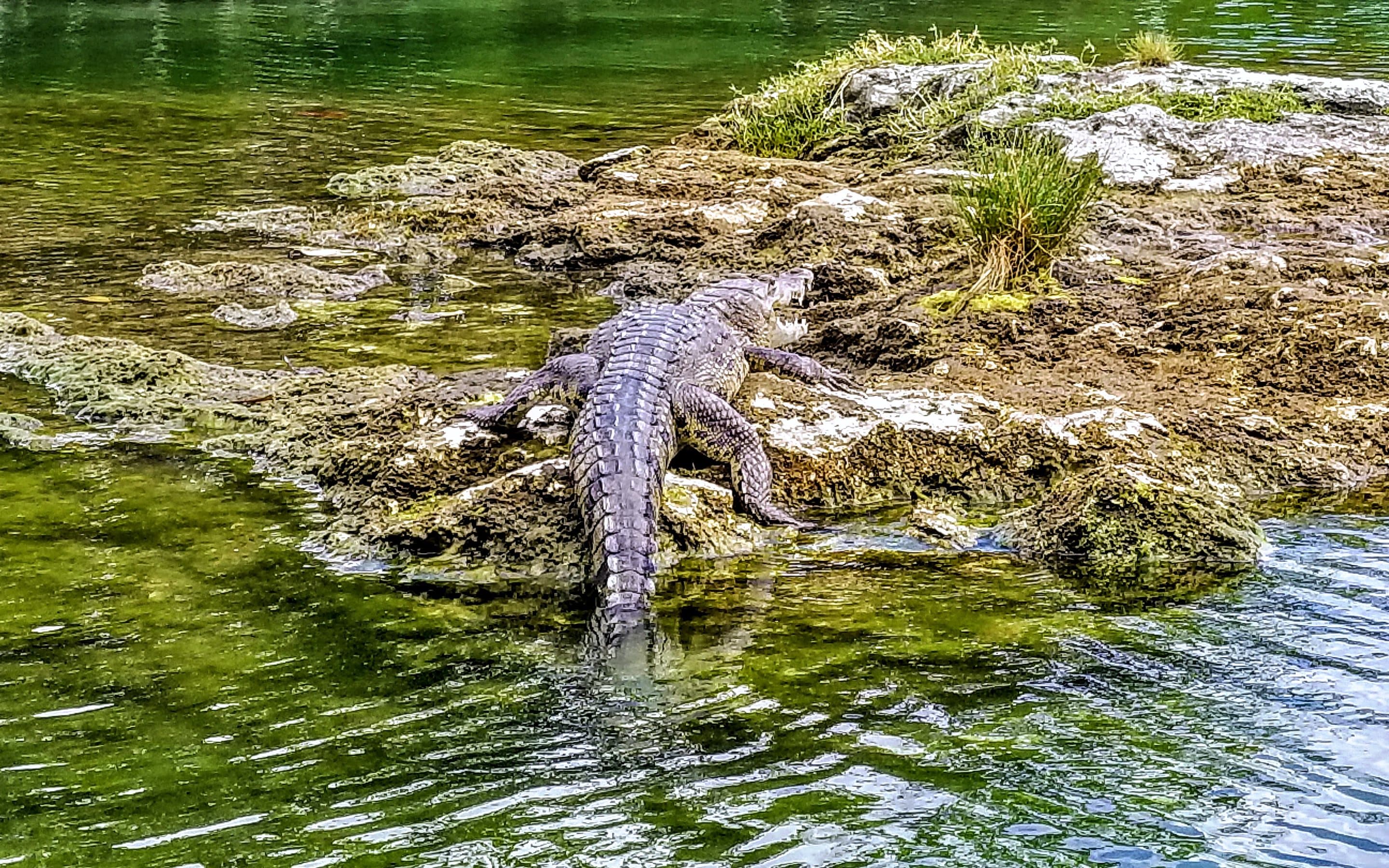 From the trip: Riviera Maya, Mexico