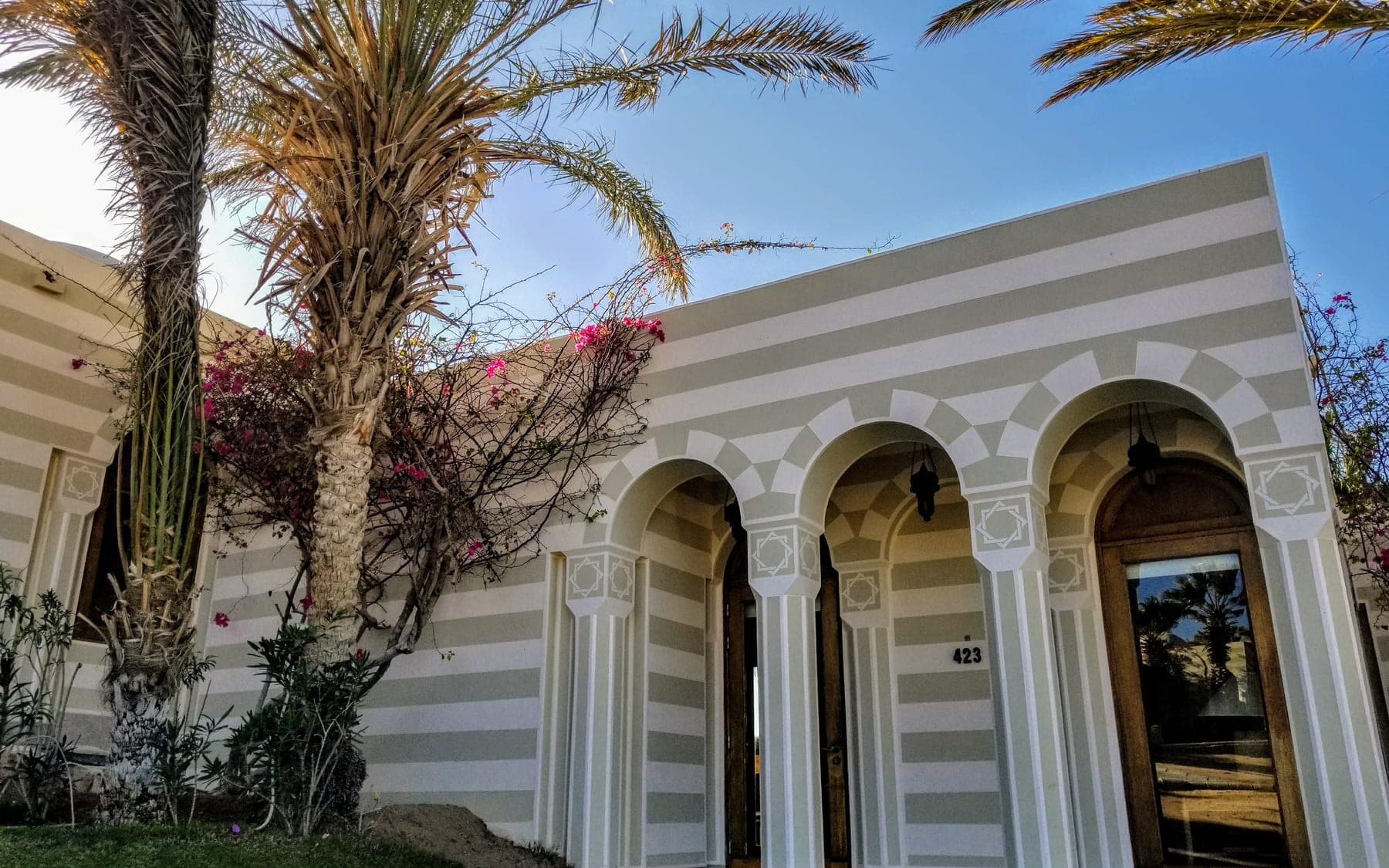 From the trip: Sahl Hasheesh, Egypt