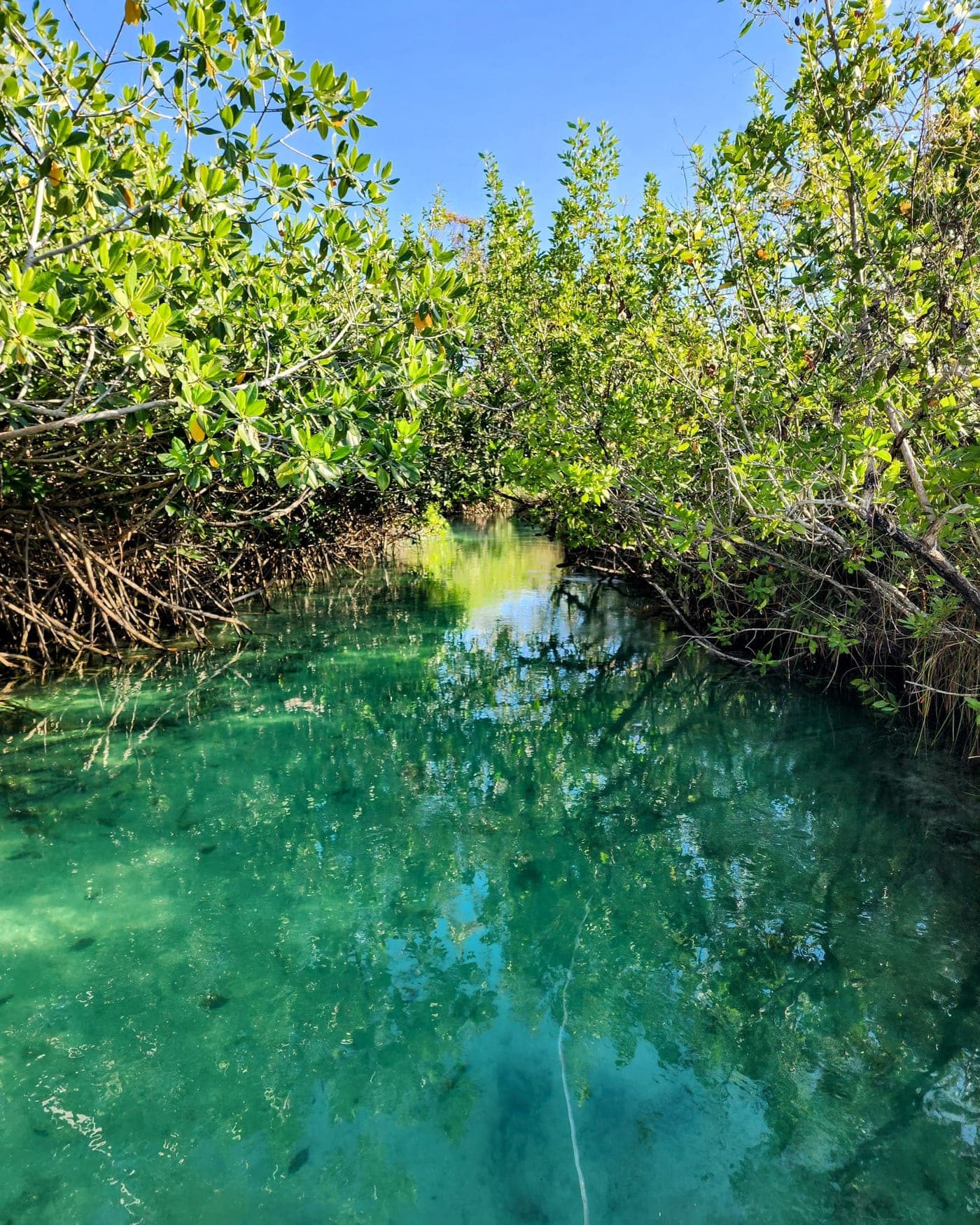 From the trip: Sian Ka'an, Mexico