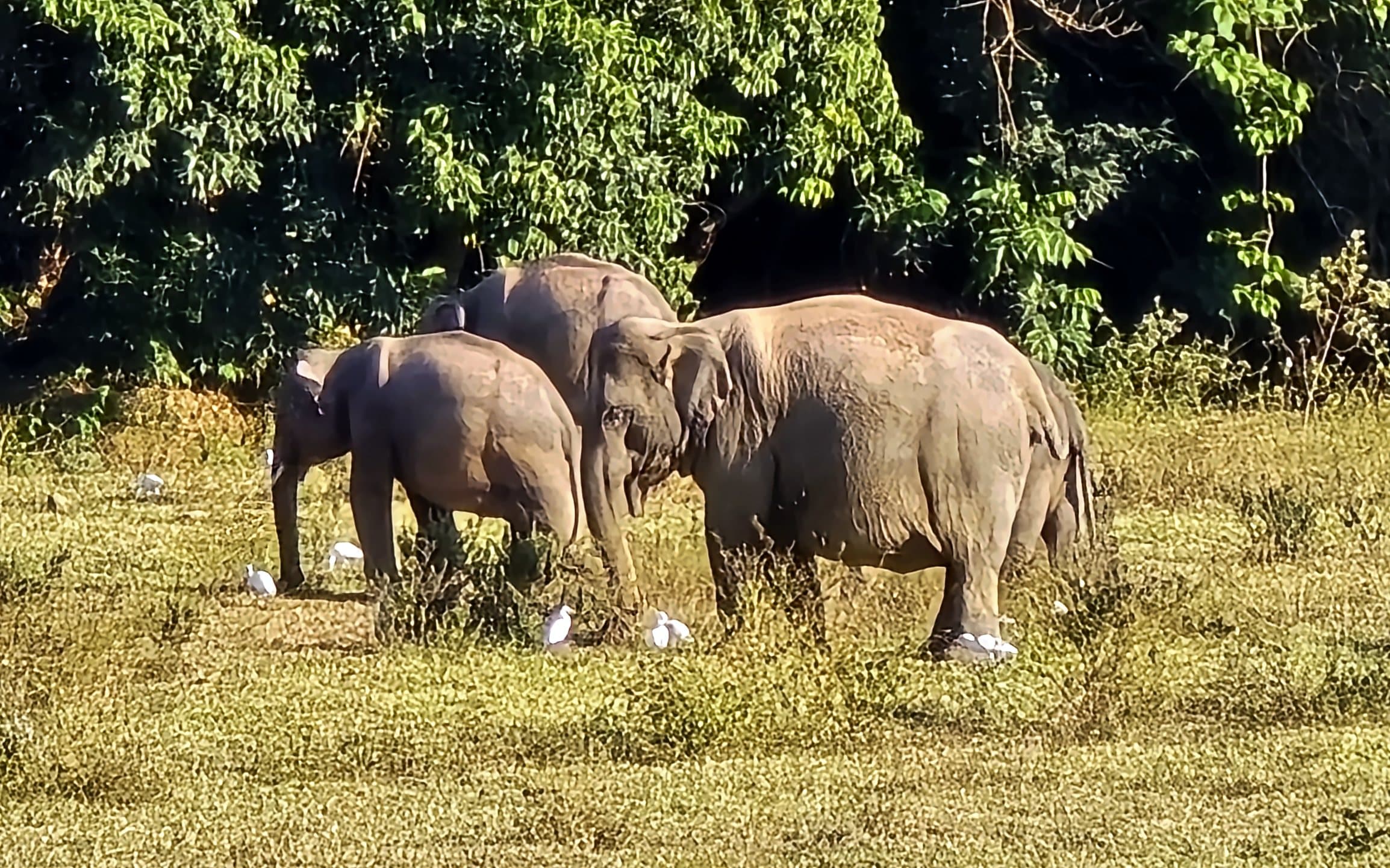 From the trip: Thailand
