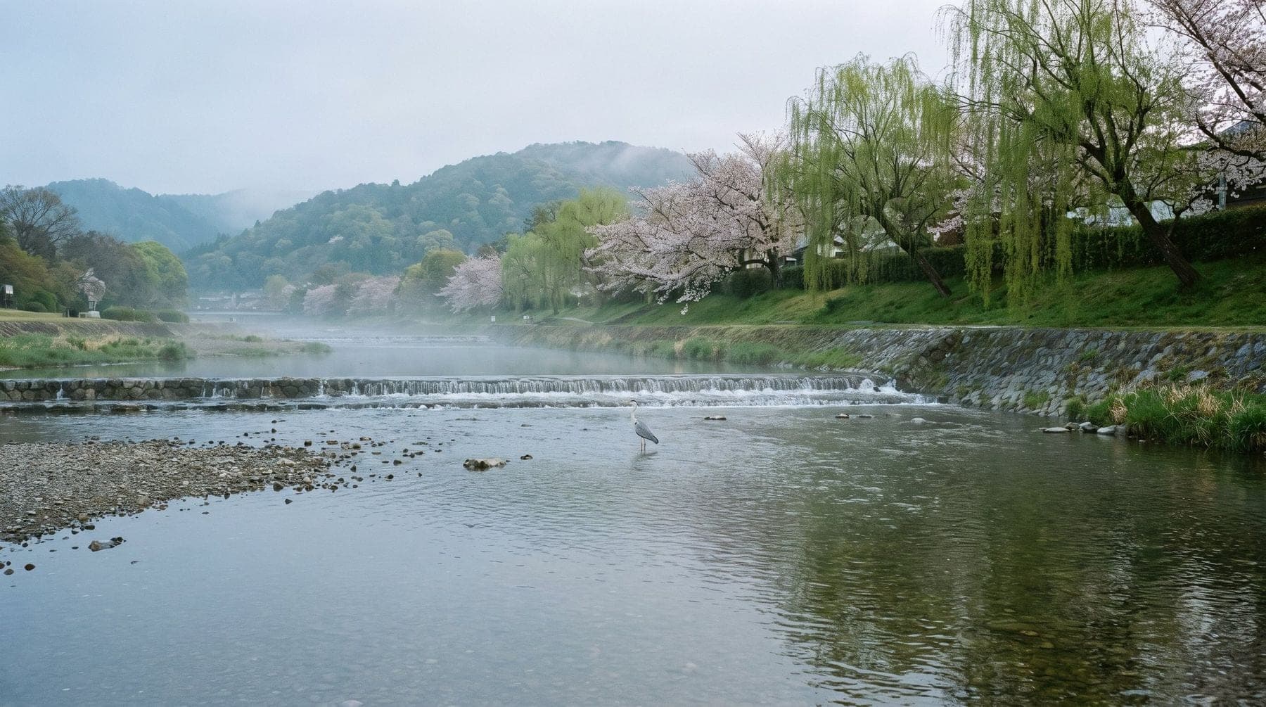 A heron in the Kamo River, Kyoto, with the Higashiyama hills behind