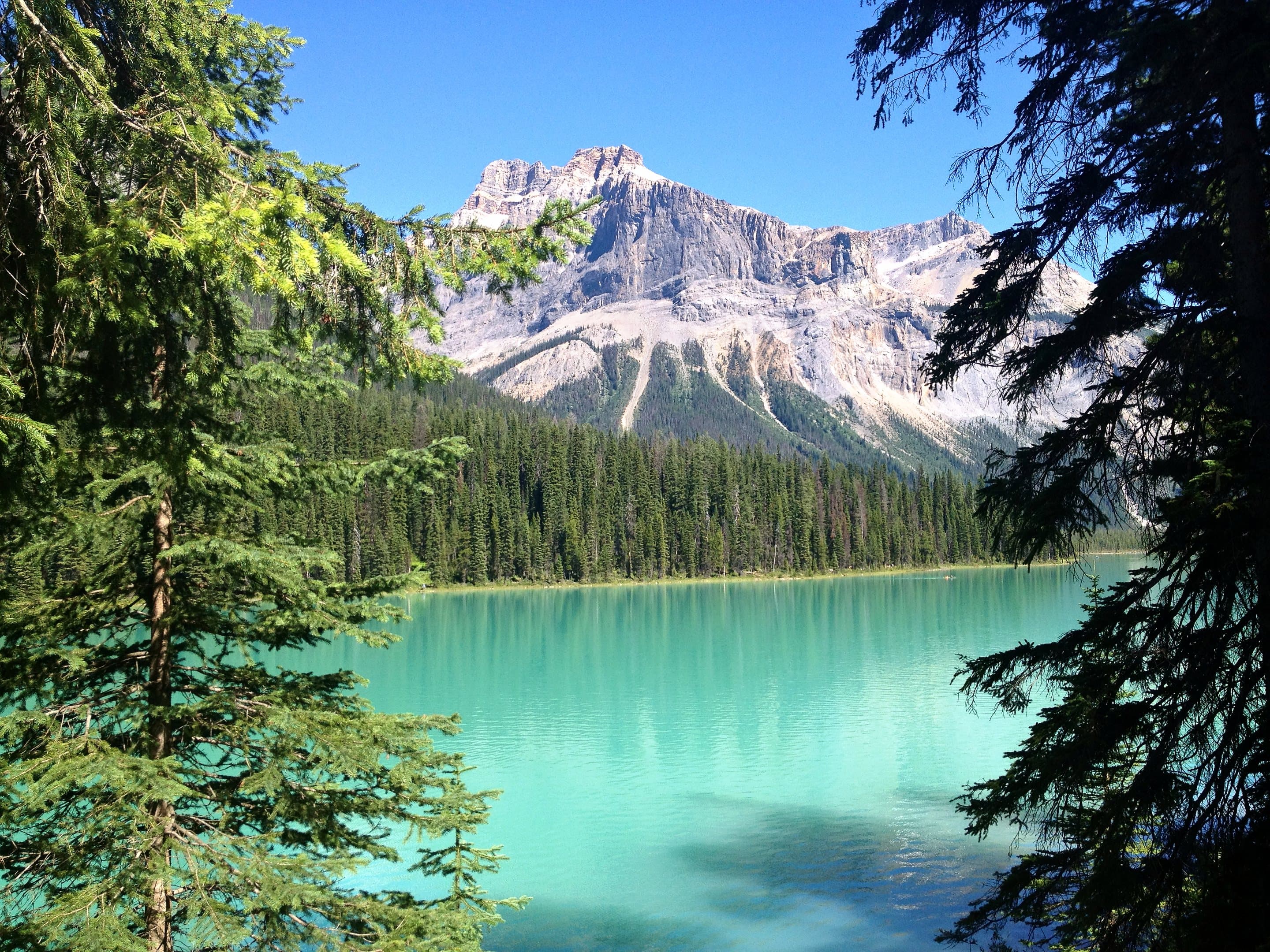Turquoise water of Emerald Lake below a pale limestone peak, framed by spruce