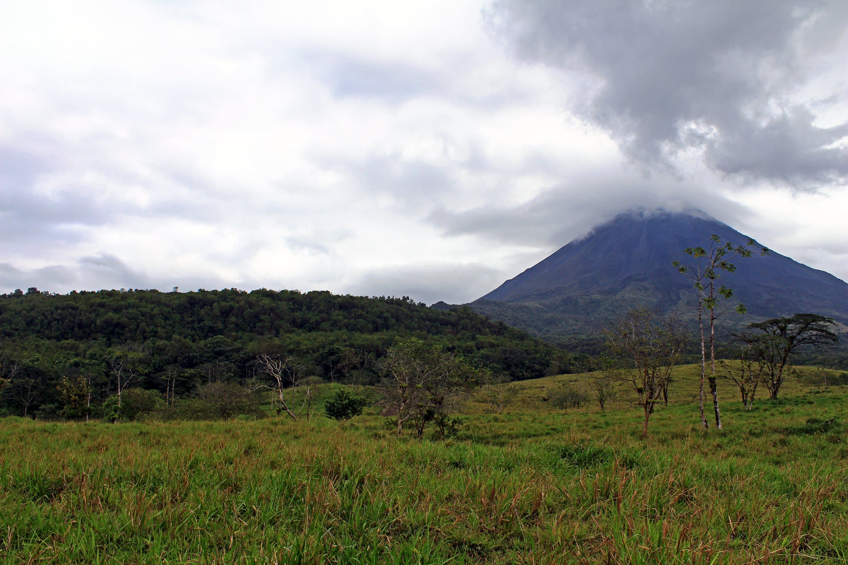 Arenal volcano under cloud above open pasture and scattered trees, Costa Rica