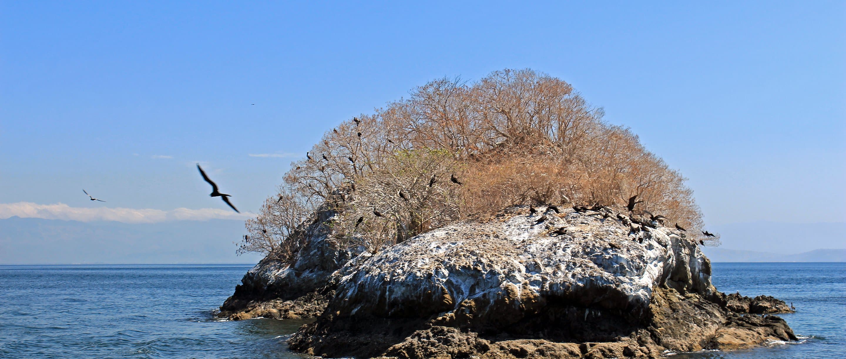 A rocky islet crowned with dry-season trees and frigatebirds in a calm blue sea, Gulf of Nicoya, Costa Rica