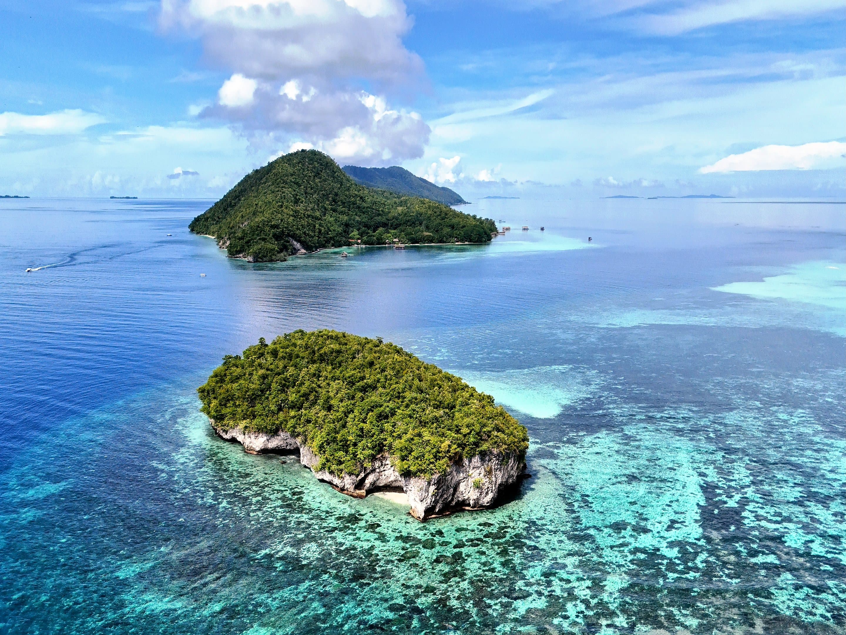 Two jungle islets over a turquoise reef in deep blue water, from the air, Raja Ampat