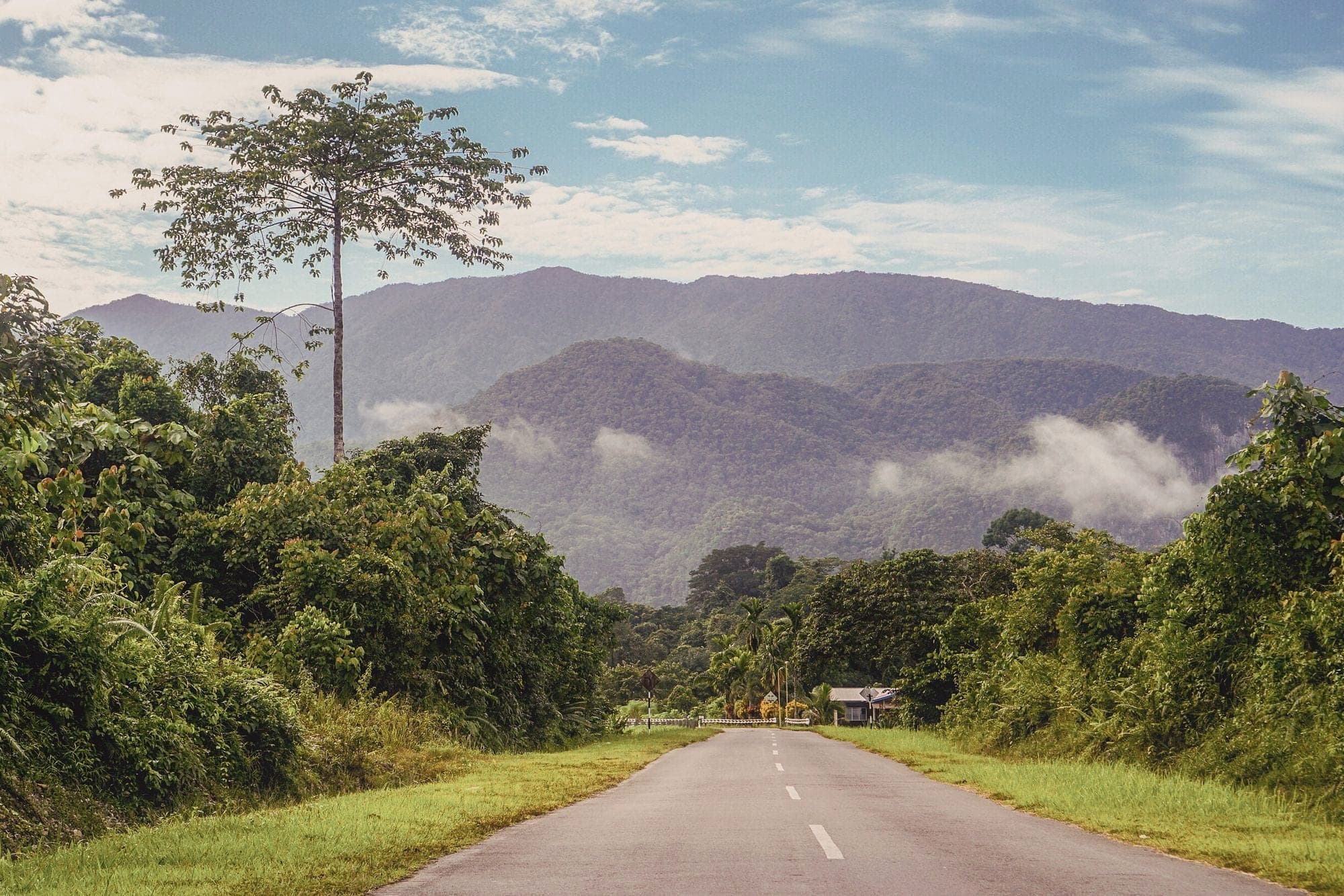 A road running through rainforest toward cloud-hung hills, Borneo