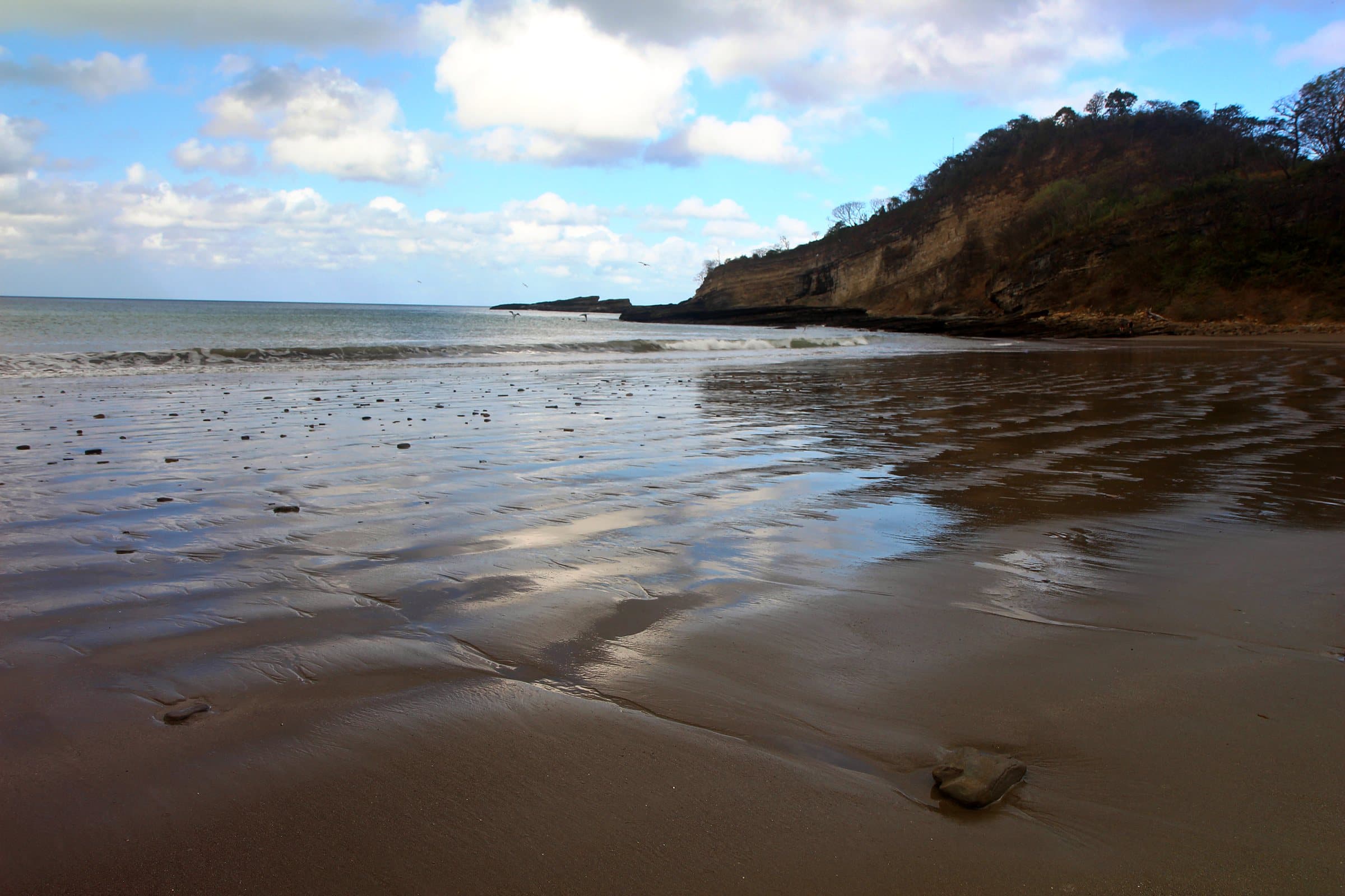 Low tide on a wide Pacific beach below a dry-forest headland in morning light, Nicaragua