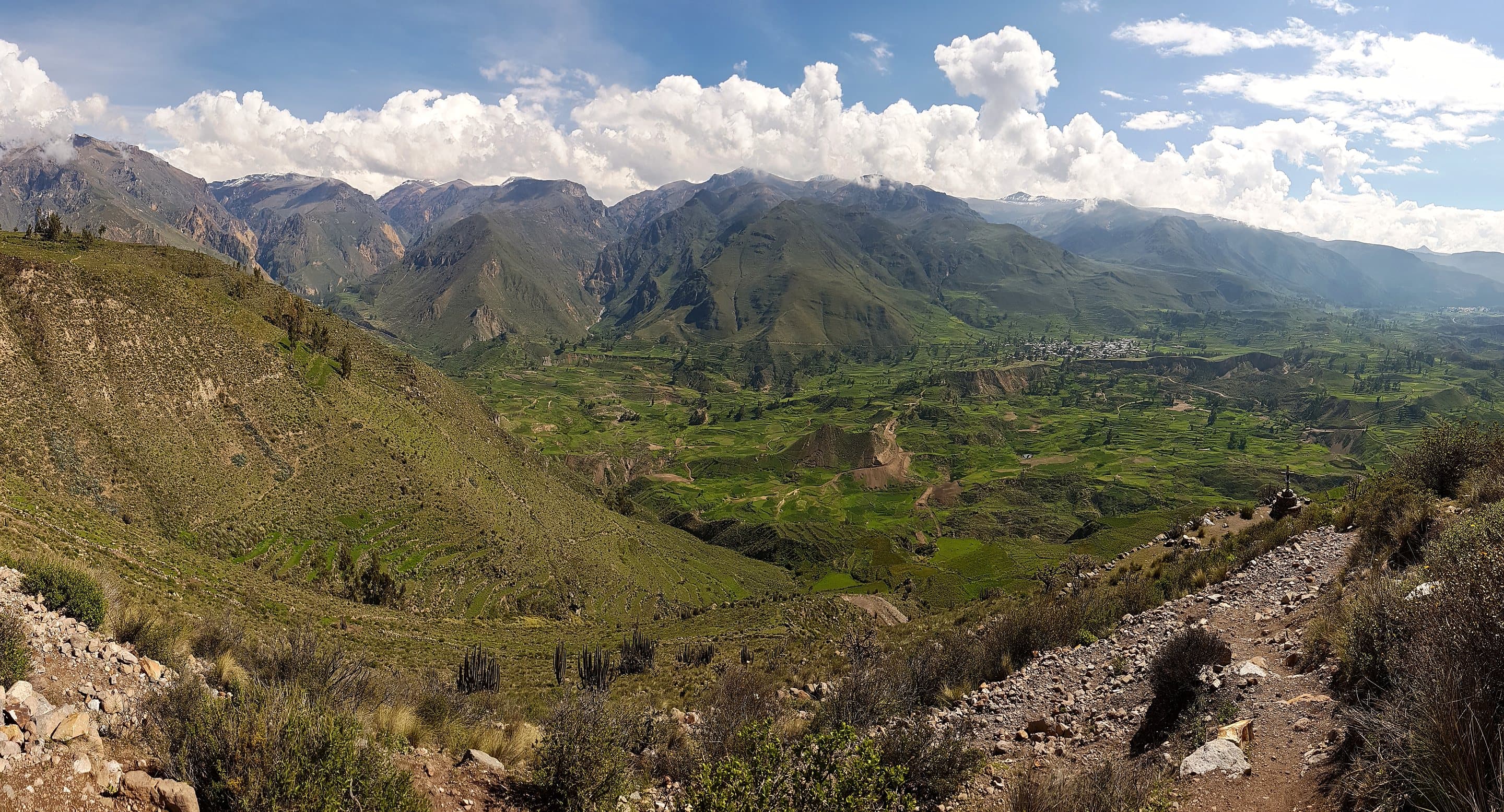 The Colca Canyon in Peru, terraced fields and a winding river below the Andes