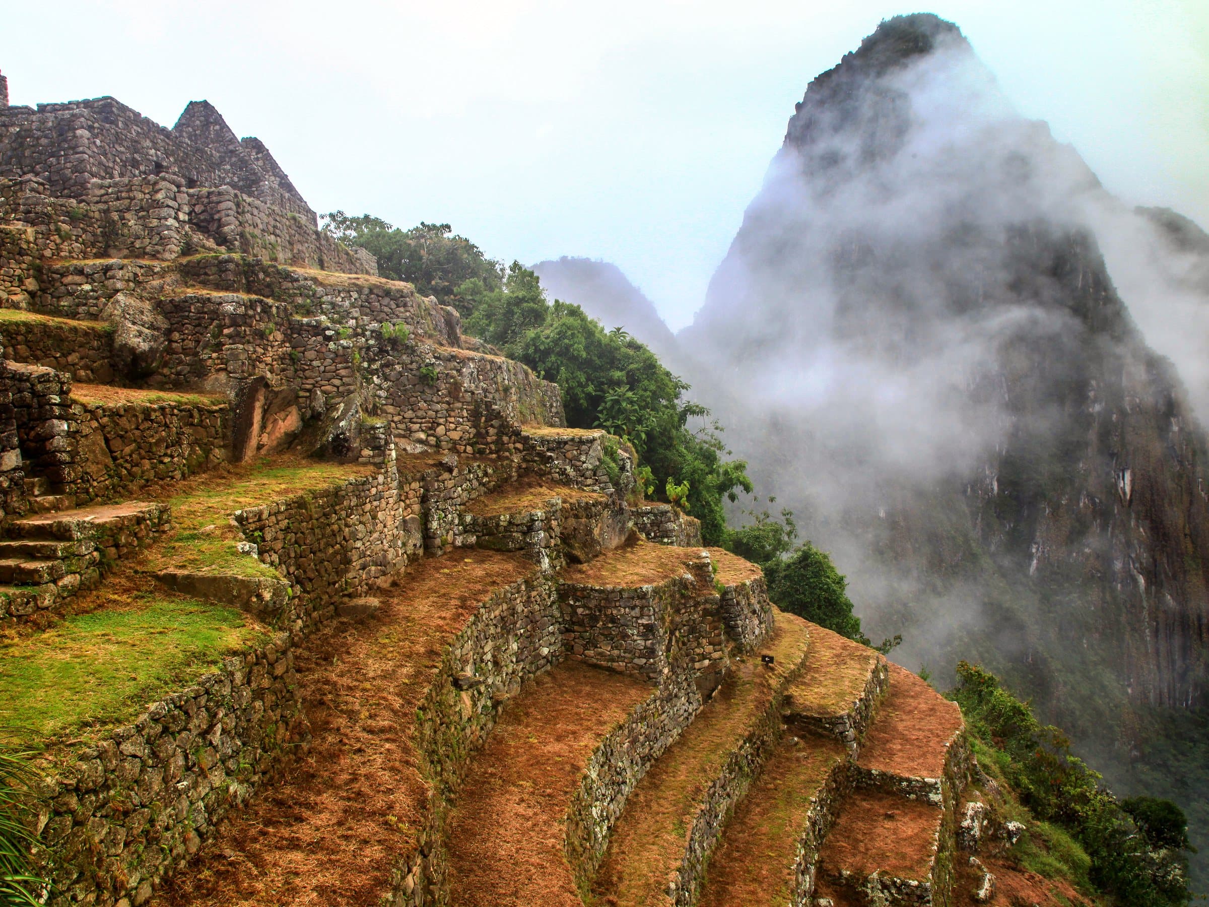 Cloud forest peaks at Machu Picchu, Peru